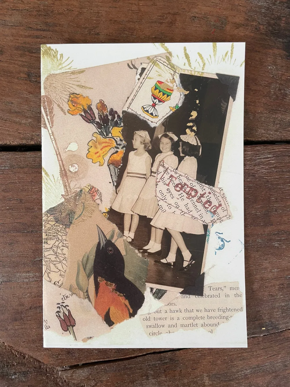 Carolyn's cooped up pack of artistic printed cards