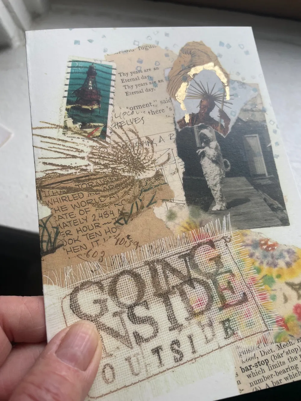 Carolyn's cooped up pack of artistic printed cards