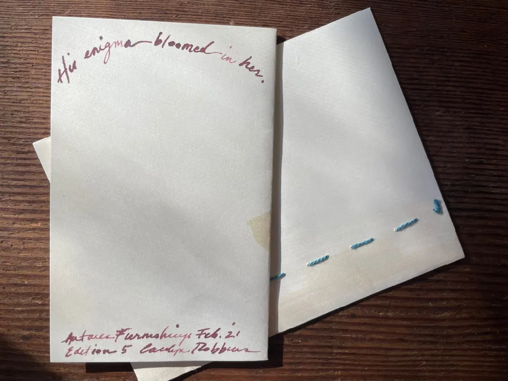 Carolyn's gent pack of artistic printed cards