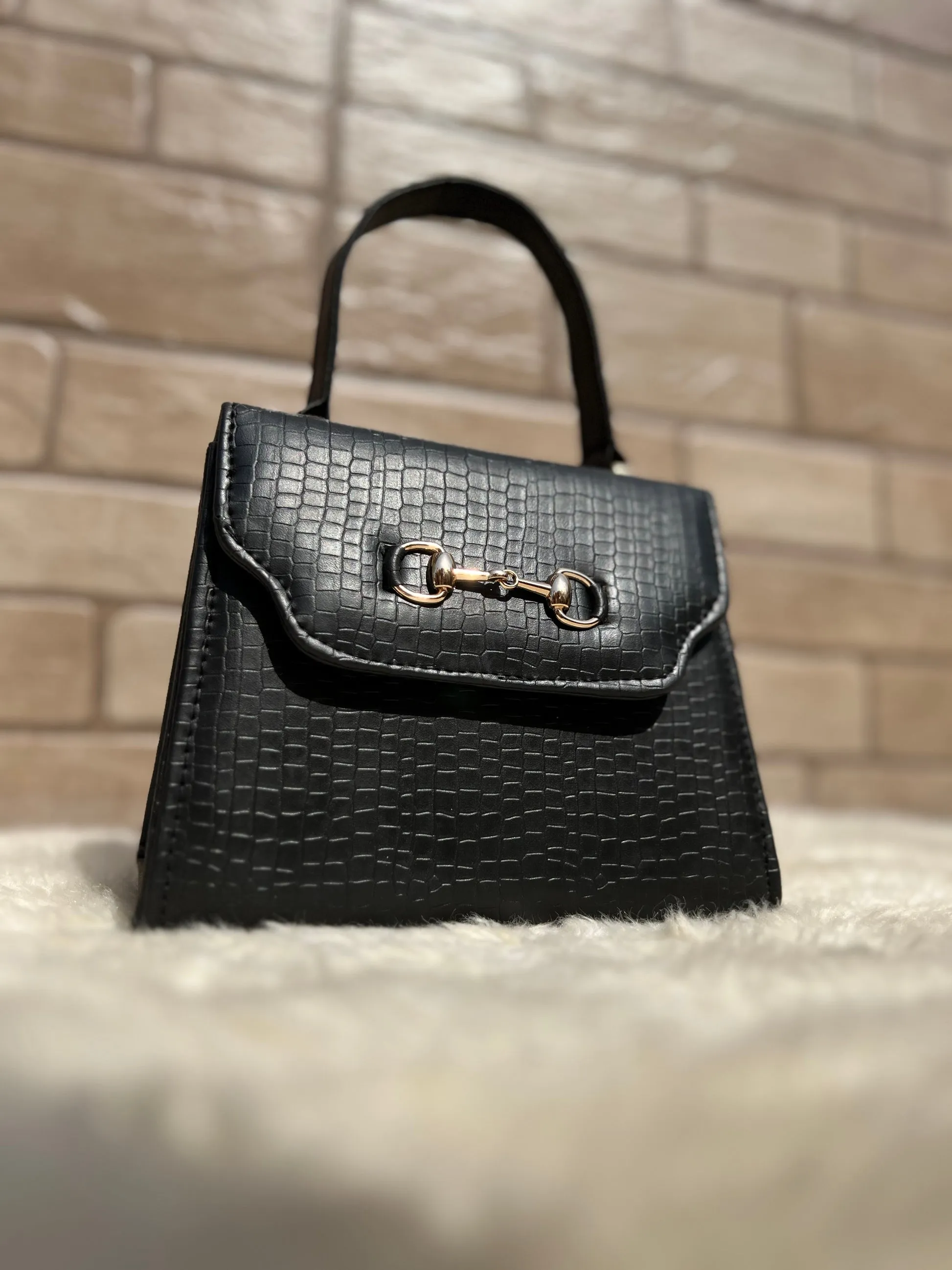 Versatile Amphibian Mini Bag -black color’